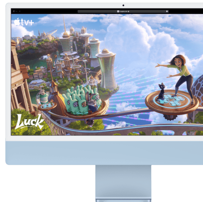 See The Big Picture And All The Details